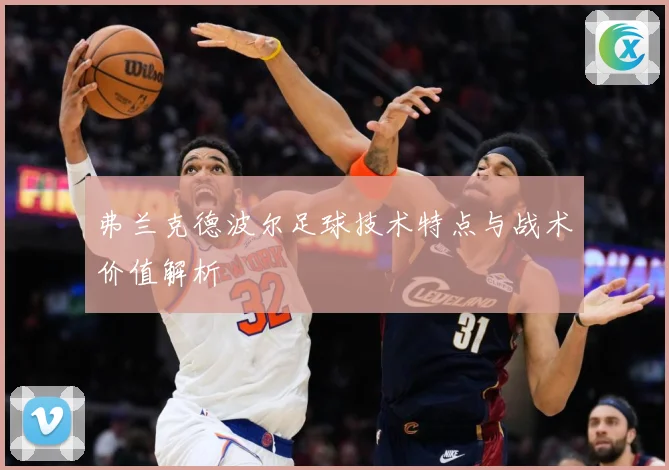 弗兰克德波尔足球技术特点与战术价值解析