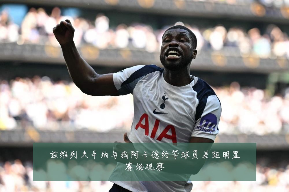 兹维列夫辛纳与我阿卡德约等球员差距明显赛场观察
